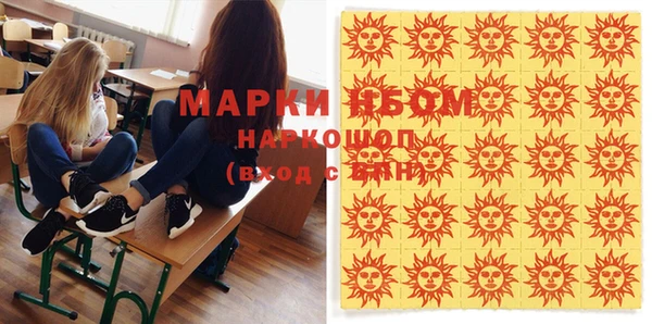 мдпв Весьегонск