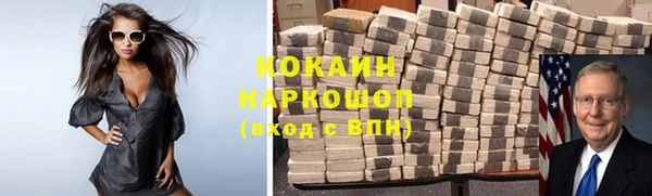 мдпв Весьегонск