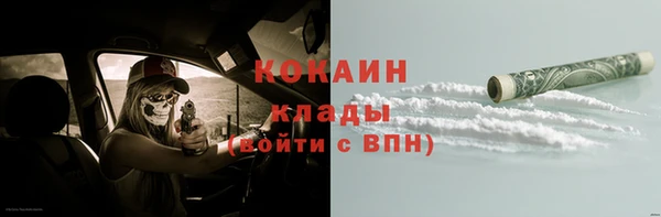 мдпв Весьегонск