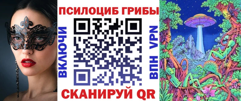 Купить Верещагино Псилоцибиновые грибы Cubensis